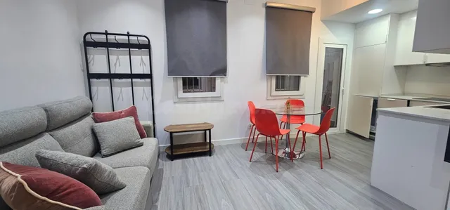 Piso 1 habitación 33m² en alquiler - Lavapiés-Embajadores - foto 4