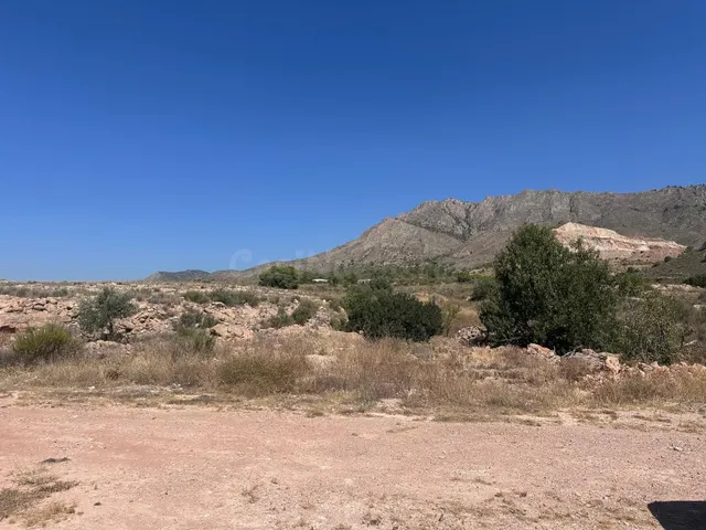 Parcela en venta - Macisvenda — 5