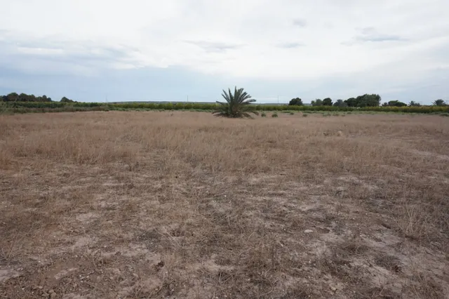 AMPLIA PARCELA DE 13000 M2 ZONA DE LA HOYA — 6