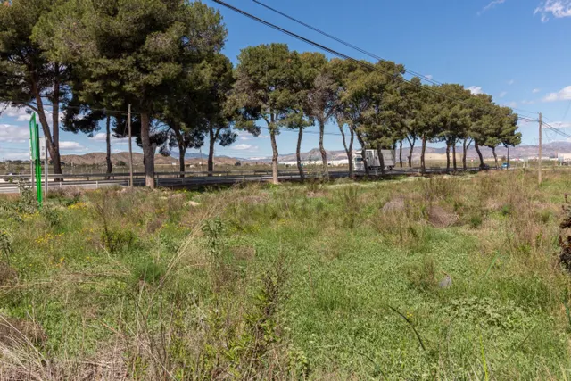 TERRENO DE 13.950 M2 EN ORIHUELA - ZONA POLÍGONO PUENTE ALTO — 8