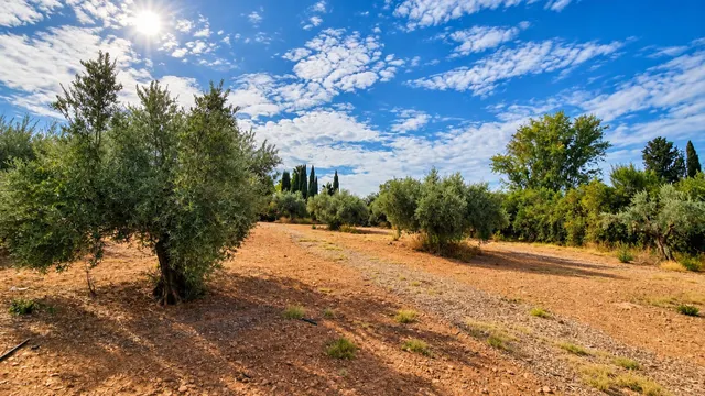 Parcela rústica de 4.824 m2 en Llanos de Moraleda, Moraleda de Zafayona — 30