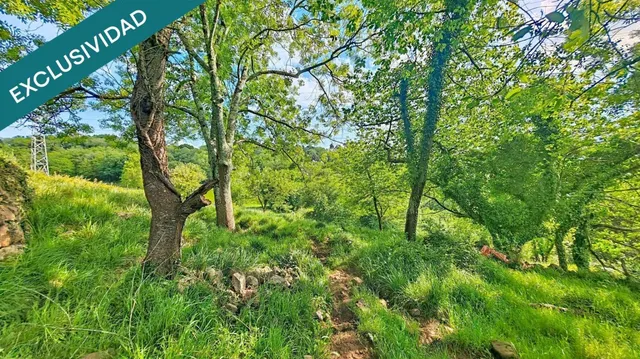Más de una hectárea de Asturias, una cabaña de piedra y todo el valle por delante. — 10