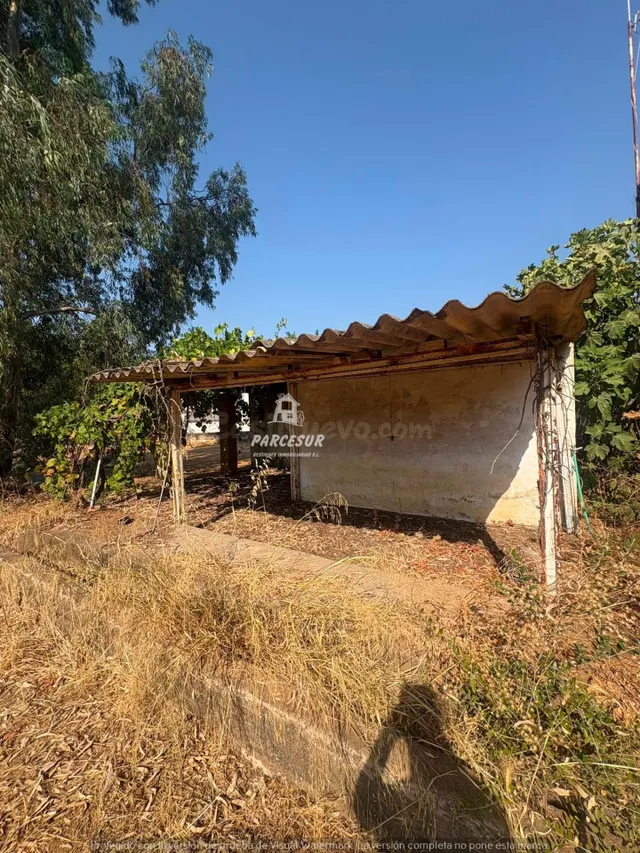 CTRA PALMA DEL RIO - Parcela con escrituras del terreno de 3 - foto 4