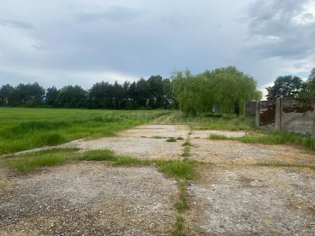 TERRENO URBANIZABLE EN XINZO DE LIMIA - foto 4
