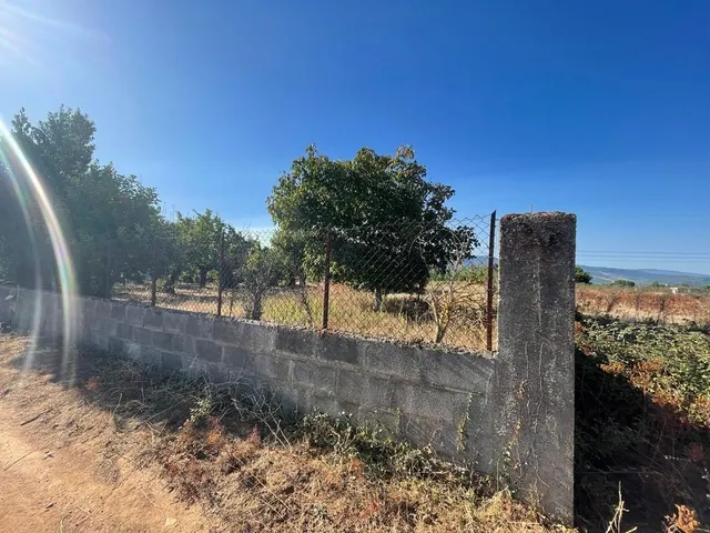 SE VENDE PARCELA CON CASETA — 5