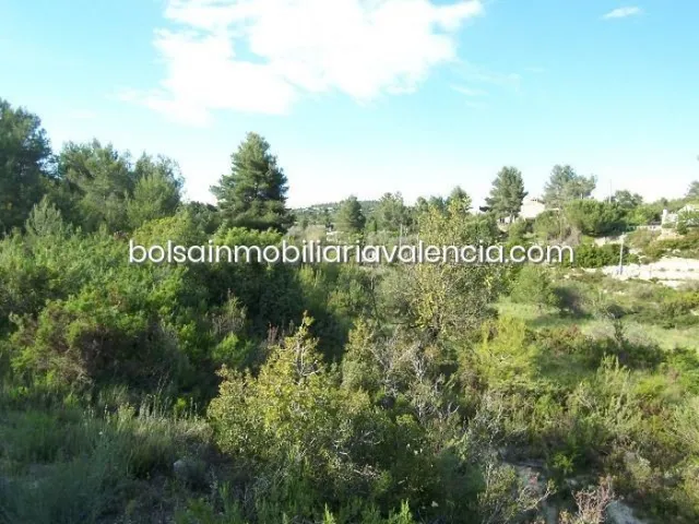 Terreno rural 8000m² en venta - La Raiosa — 22