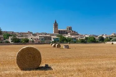 Ikv00514-1. finca rústica de 40.070 m2 con edificación de 488 m2 en Sineu. — 14
