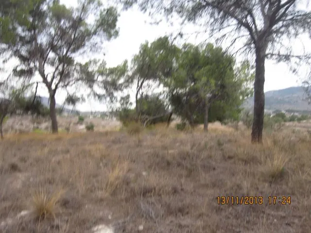 36500 METROS DE TERRENO EL LA SERRA LA VELLA — 7