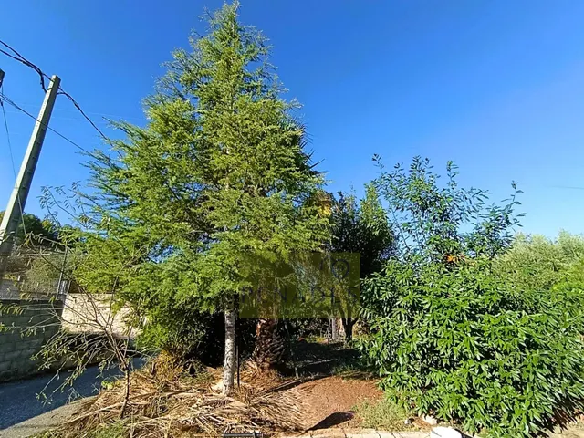 CHALET MUY CERCA DE LA POBLACION — 4