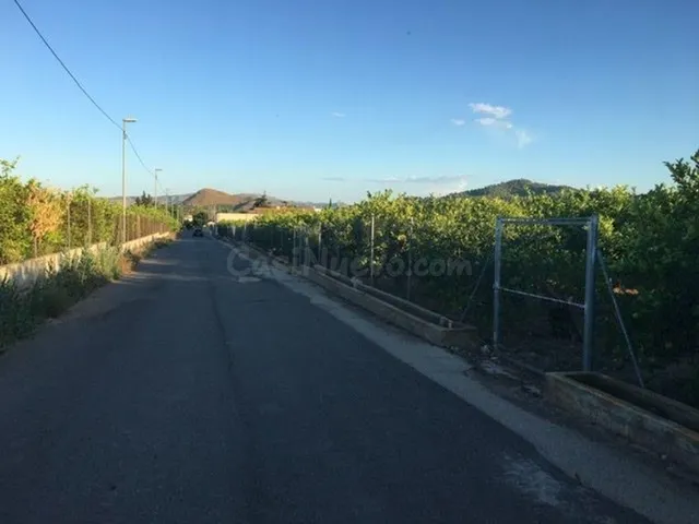 Finca en producción de Limón con potencial futuro urbanistic - foto 2