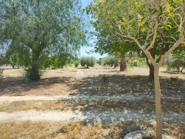 SE VENDE CASA DE CAMPO EN BUEN ESTADO EN ASPE — 21