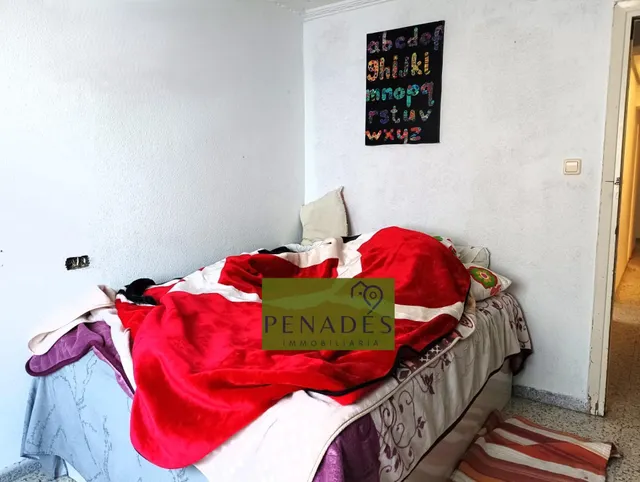AMPLIO PISO EN RAMON Y CAJAL CON MUCHA LUZ NATURAL — 15