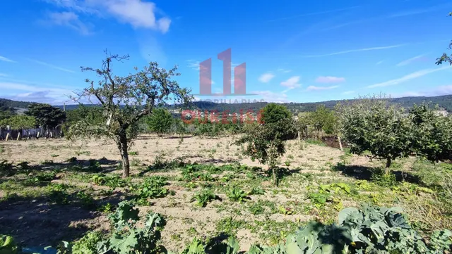 FINCA DE MÁS DE TRES MIL METROS CUADRADOS EN SAN CIBRAO DAS VIÑAS. — 6