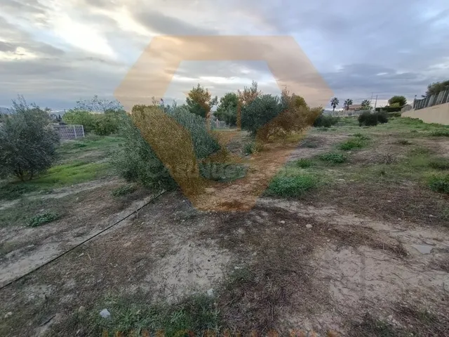 SE VENDE PARCELA EN EL ROMERAL DE MOLINA DE SEGURA - foto 5