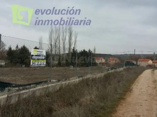 REVILLARRUZ, carretera de Sarracín: IMPRESIONANTE FINCA DE 7