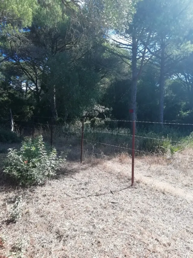Parcela en la Muela - foto 5