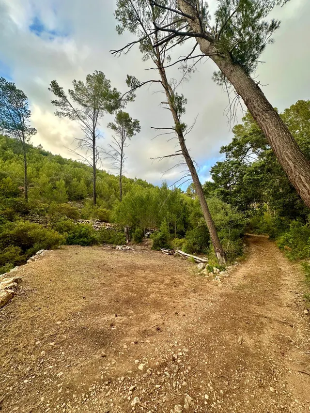 Terreno Rústico de 12.240 m2 en S’Arracó (Andratx) | Vistas al Mar, Cueva Natural y Pago Aplazado — 10
