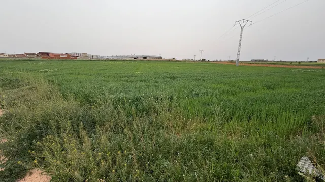 Terreno rústico en venta en Casas Ibáñez, Albacete - foto 3