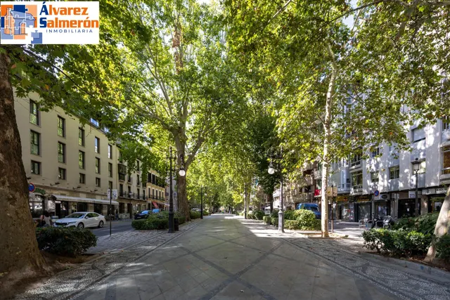Piso y cochera en venta junto Acera de Darro. — 43