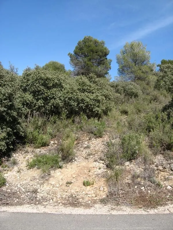 PARCELA EN NUEVA SIERRA, ALBALATE DE ZORITA — 2