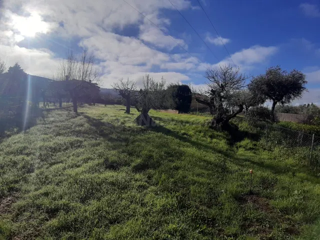 TERRENO URBANO EN CAÑAVERAL - foto 5