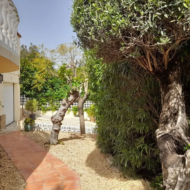 Villa 6 habitaciones 178m² en venta - Comunidad valenciana — 22