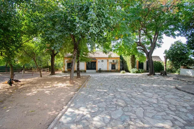 Espectacular finca en carretera mairena - almensilla !!! — 69