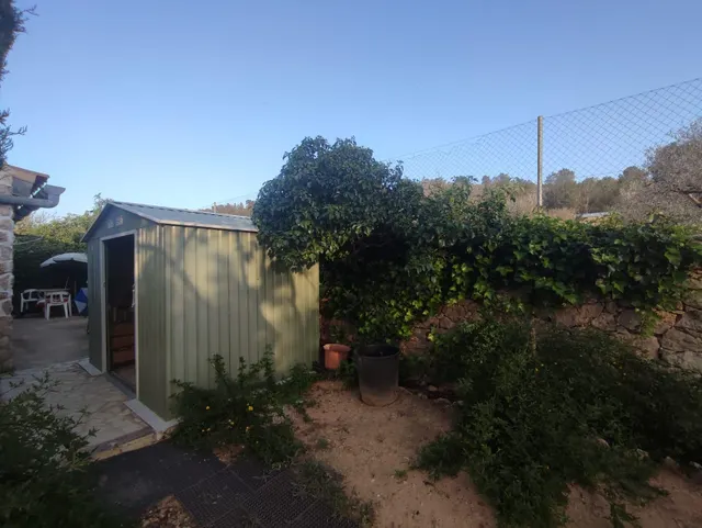 Casa de campo con 5.170 m2 de parcela a 9 min de Pinoso — 35