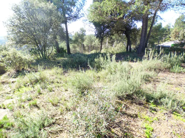 TERRENO URBANO EN CASTELLNOU DE BAGES SEMIPLANO DE 854M2 — 5