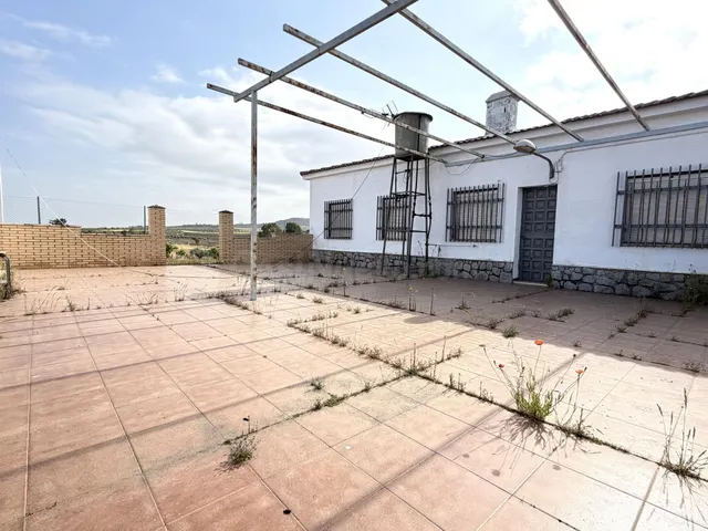 FINCA CON CASA EN TERMINO LA HABA - foto 5
