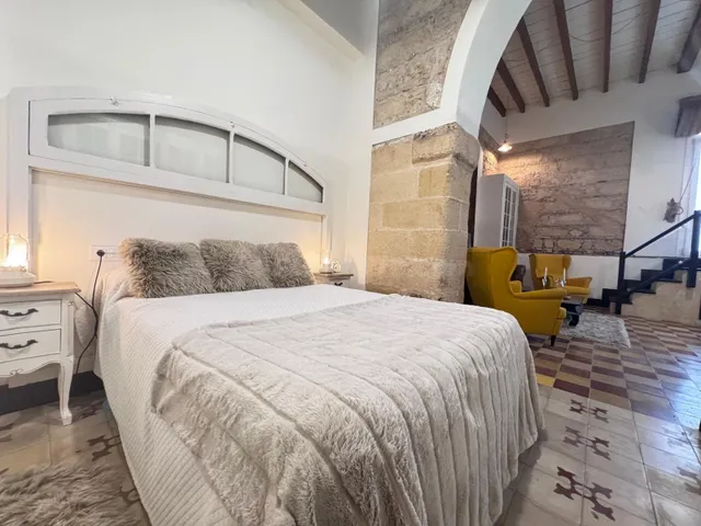 PRECIOSO LOFT SITUADO EN ANTIGUA BODEGA EN EL CENTRO DE JERE - foto 4