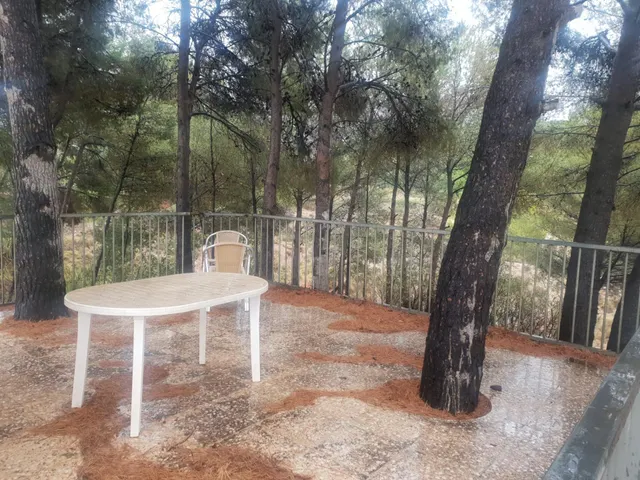 EXCELENTE CHALET A 2 MINUTOS DE PETRER — 7