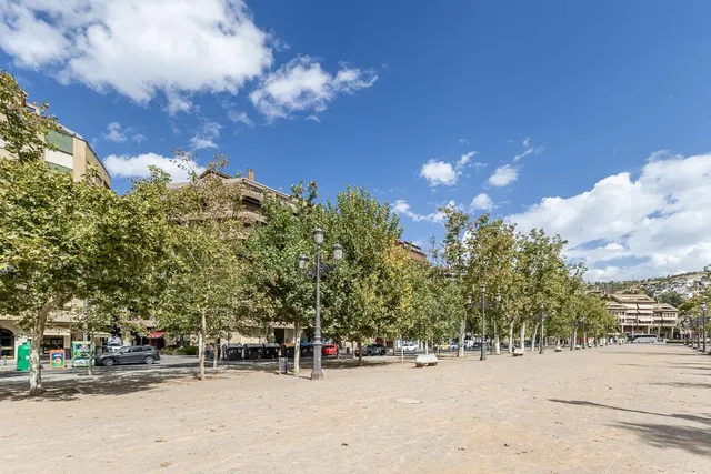 Pisazo en paseo del salón - Granada — 45