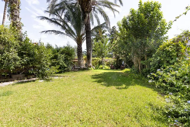 CHALET EN LOS DOLORES — 20