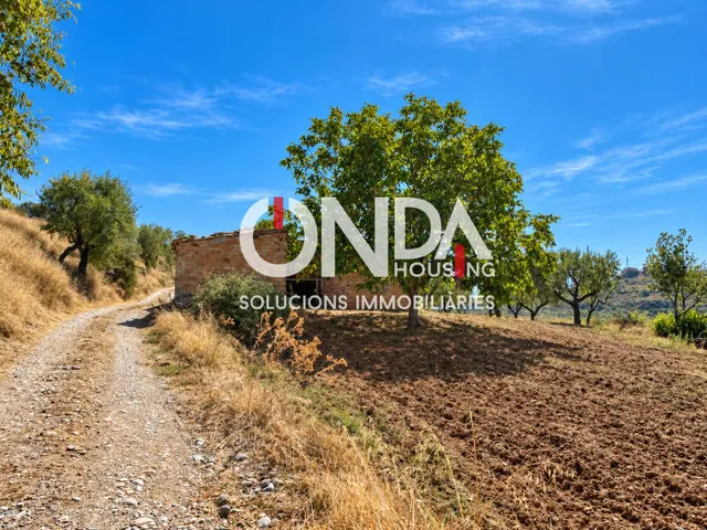 Finca rústica de 29.534 m2 con edificación de 314 m2 y pozo en Seixols, Tremp — 10