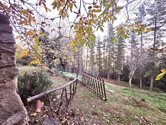 Parque natural del montseny (afueras riells): masía típica catalana catalogada a reformar — 46