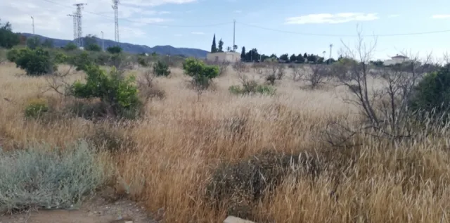 Parcela para construcción de vivienda unifamiliar en Aguader