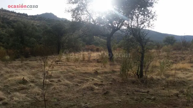 VENTA DE FINCA CINEGETICA - foto 3