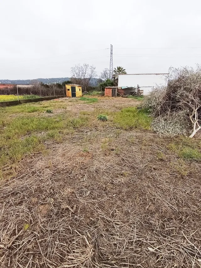 SE VENDE CASA CON TERRENO EN EL CORTIJO DEL ALAMILLO - VILLA - foto 2