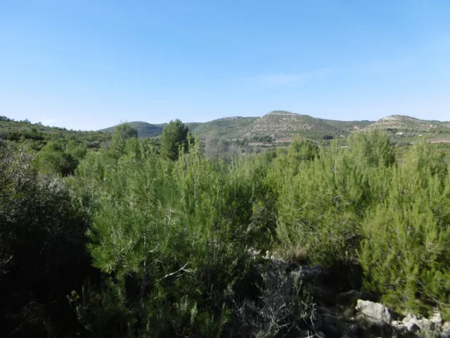 MASIA PARA REFORMAR  CON ALMACENES EN UNA FINCA DE 10 HECTÁREAS — 30