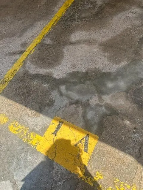 Piso en zona del Arenal de Llucmajor. — 31