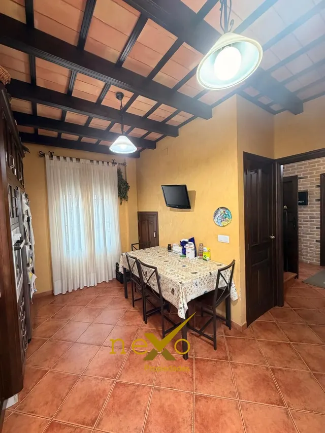 CASA DOS PLANTAS. ZONA NECRÓPOLIS — 14