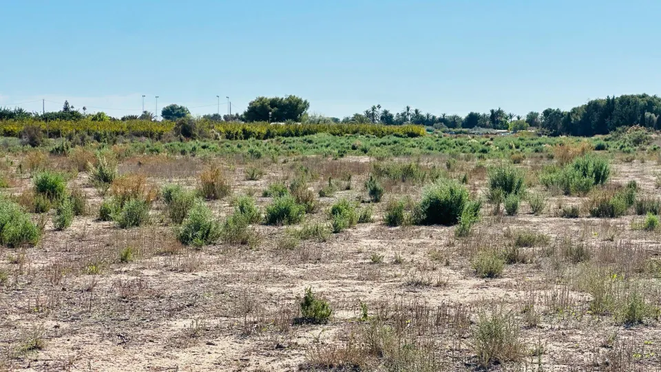 Terreno de 12.000 m2 en Perleta.