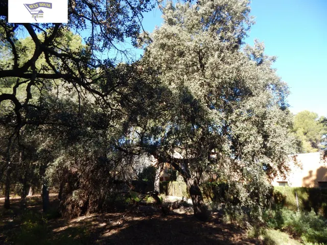 GRAN PARCELA URBANIZABLE EN PLENA NATURALEZA DE LA URB. HELIOS!!! — 7