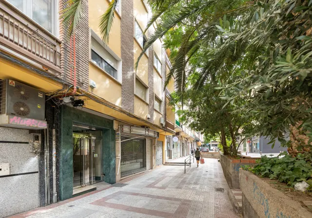 Gran piso en pleno centro de Granada — 4
