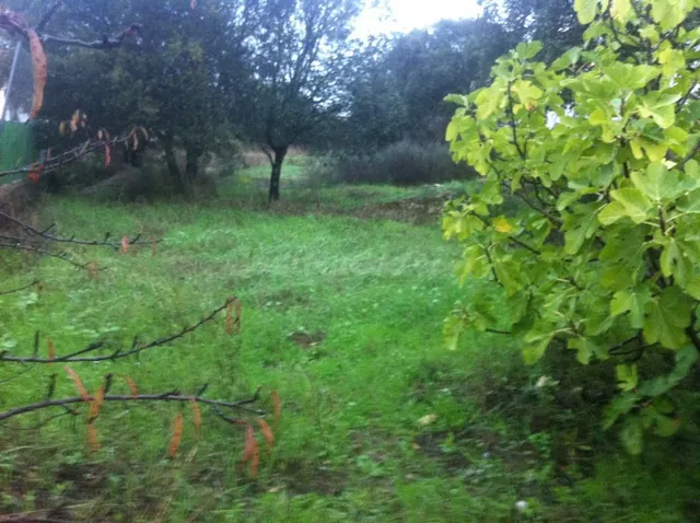 ESTUPENDA PARCELA EN LAS ARENAS - foto 3