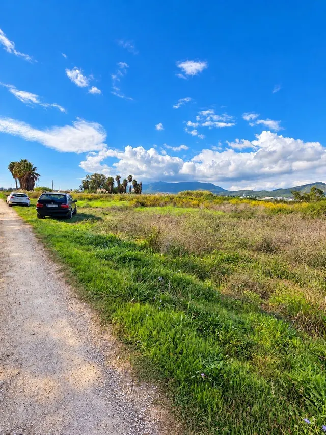 Finca rústica de 6.705 m2 en la zona de els ullals de baltasar, Amposta — 14
