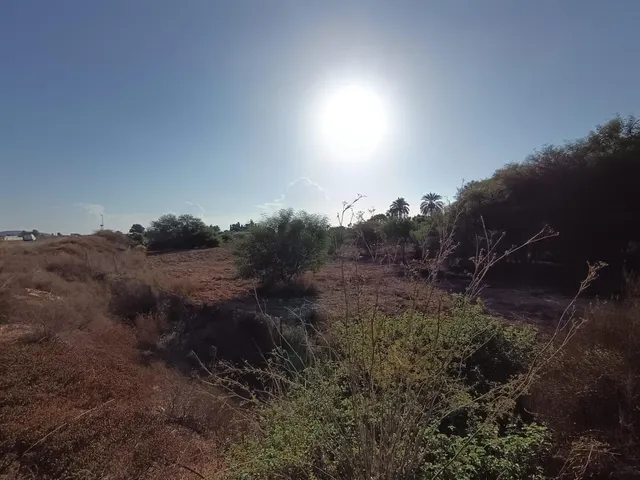 Parcela de 7.677 m2 fachada a carretera via parque Alicante - Elche — 6