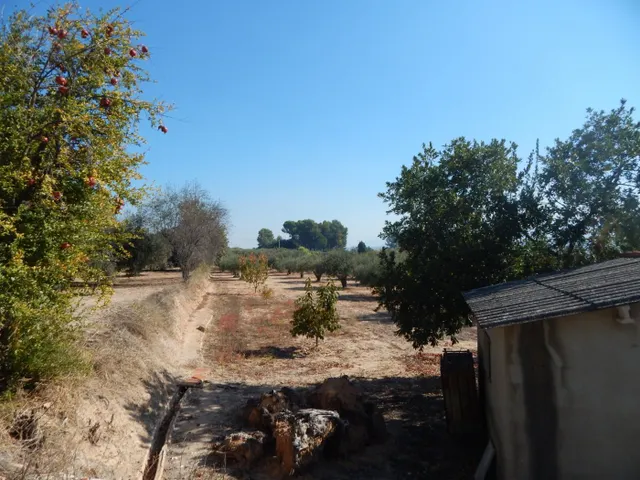 CASA DE CAMPO CON TERRENO URBANIZABLE EN ONTINYENT. — 33