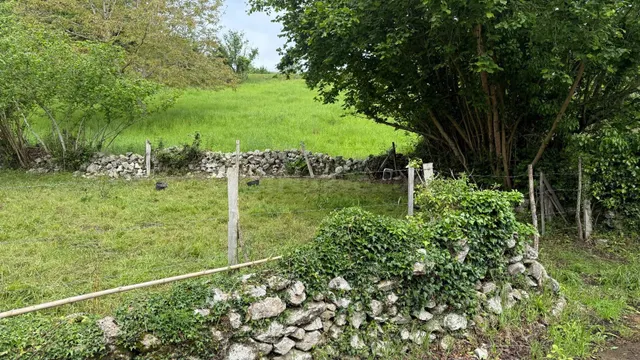 Terreno rural en venta - Lamadrid - foto 4